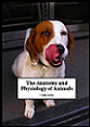 anatomy and physiology of animals