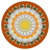 orange mandala circle