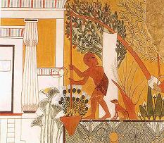 ancient egyptian garden drawing