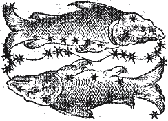 pisces the fish zodiac constellation