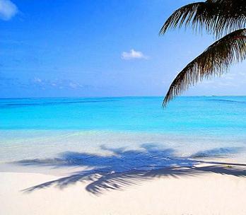Malediven beach coast view